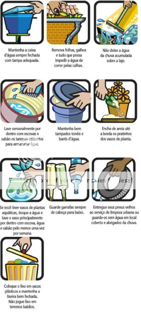Combate a Dengue Dengue