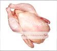 frango frango