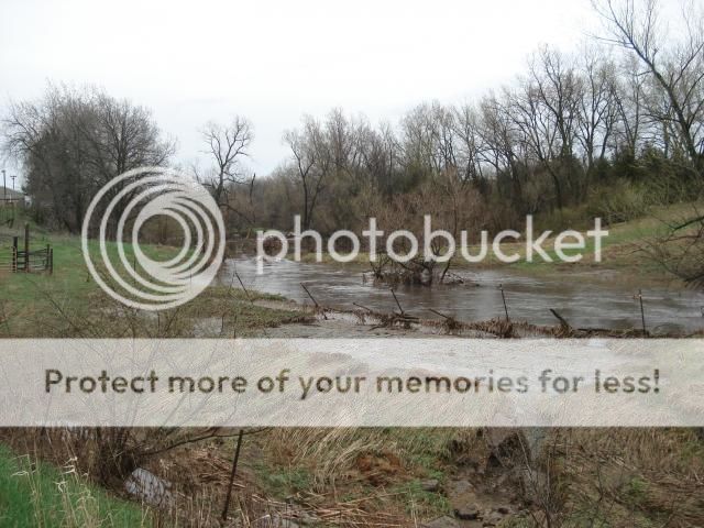 Flood! - Homesteading Questions