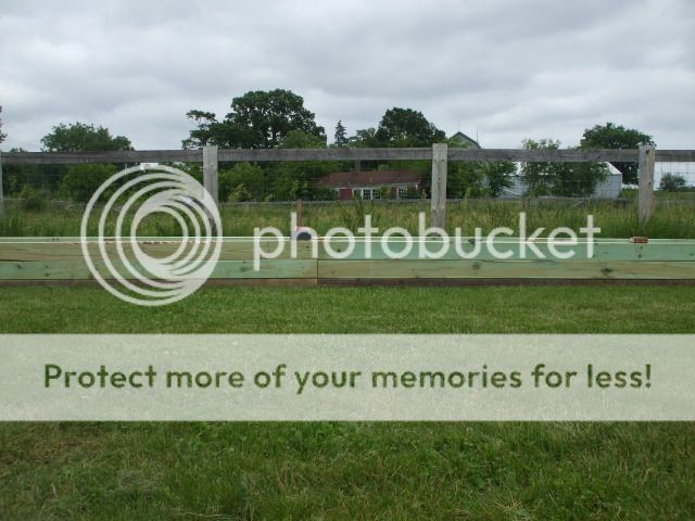 Ideas for raised beds? - Homesteading Questions