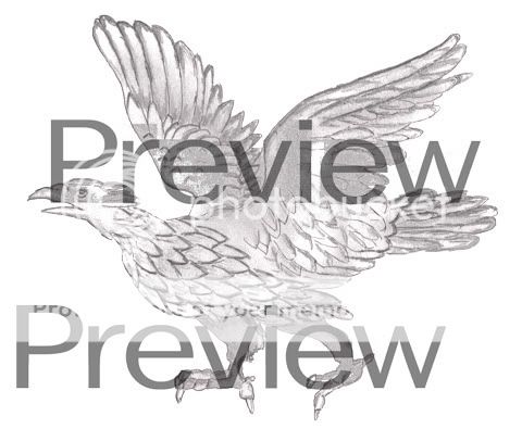 Letter-of-Marque-Adler-14-6-2011.jpg
