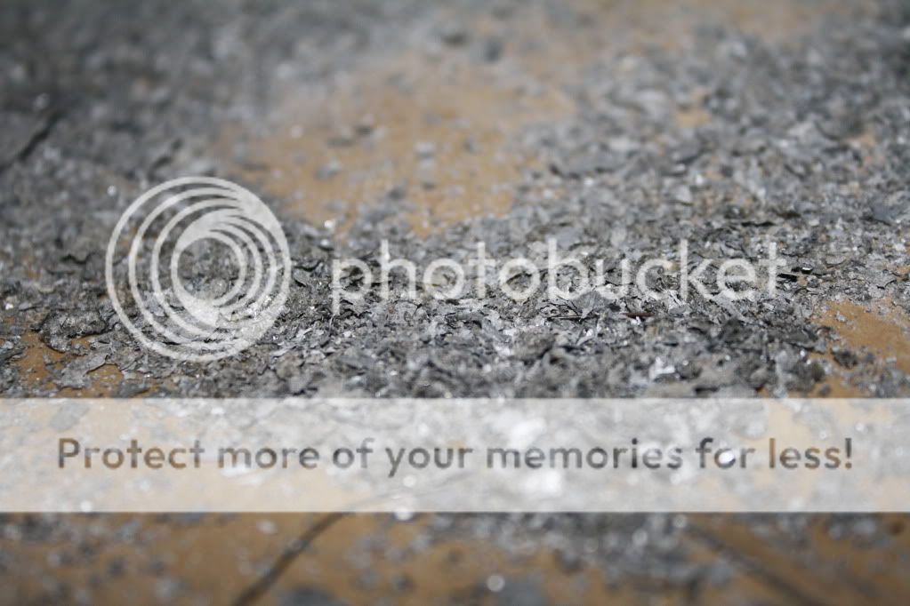 Posted Image