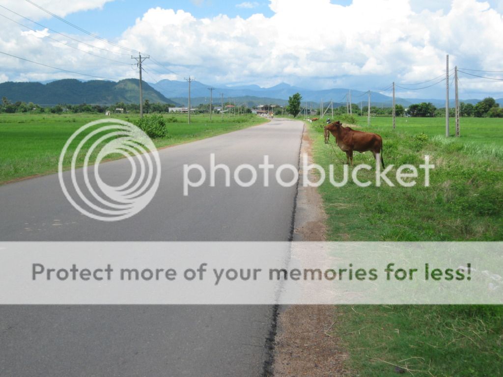 Topic tổng hợp: Hướng dẫn lái xe ô tô miễn phí... Good. - 3