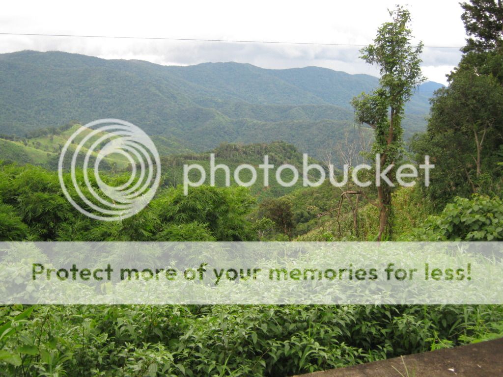 Topic tổng hợp: Hướng dẫn lái xe ô tô miễn phí... Good. - 11