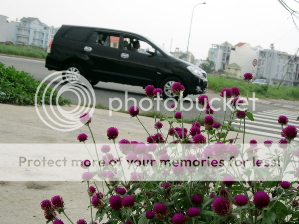 Topic tổng hợp: Hướng dẫn lái xe ô tô miễn phí... Good. - 5