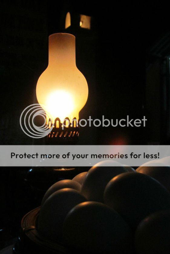 Topic tổng hợp: Hướng dẫn lái xe ô tô miễn phí... Good. - 6